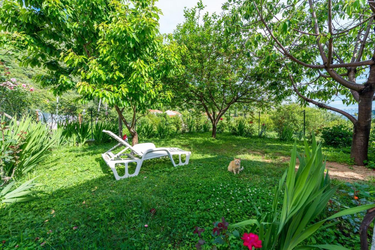 Holiday Home Garden Dubrovnik Luaran gambar