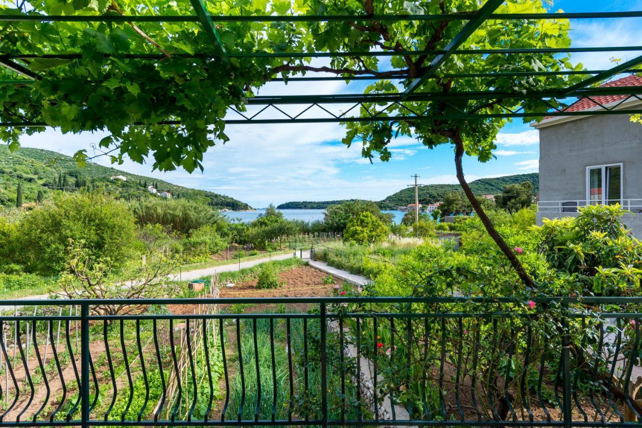 Holiday Home Garden Dubrovnik Luaran gambar